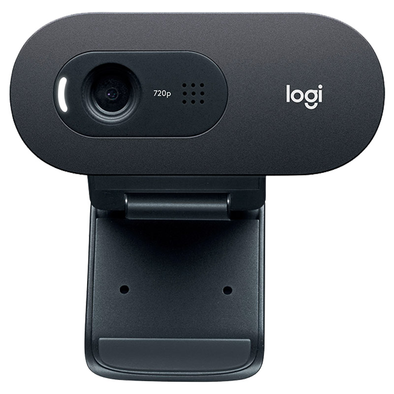 Cámara Web Logitech C505 HD